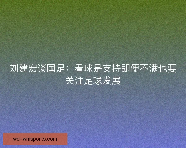 刘建宏谈国足：看球是支持即便不满也要关注足球发展